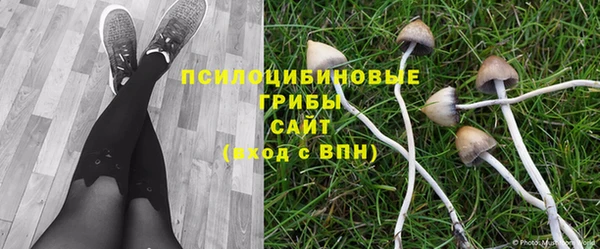 спайс Балахна