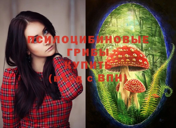спайс Балахна
