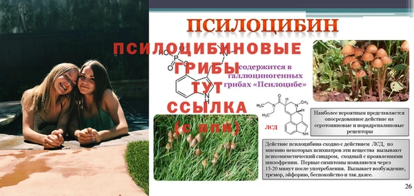 спайс Балахна