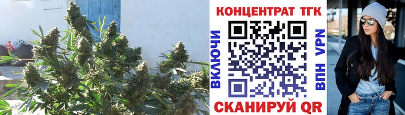 где можно купить наркотик  Городище  ТГК жижа 