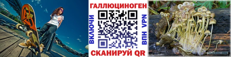Псилоцибиновые грибы Psilocybe Городище